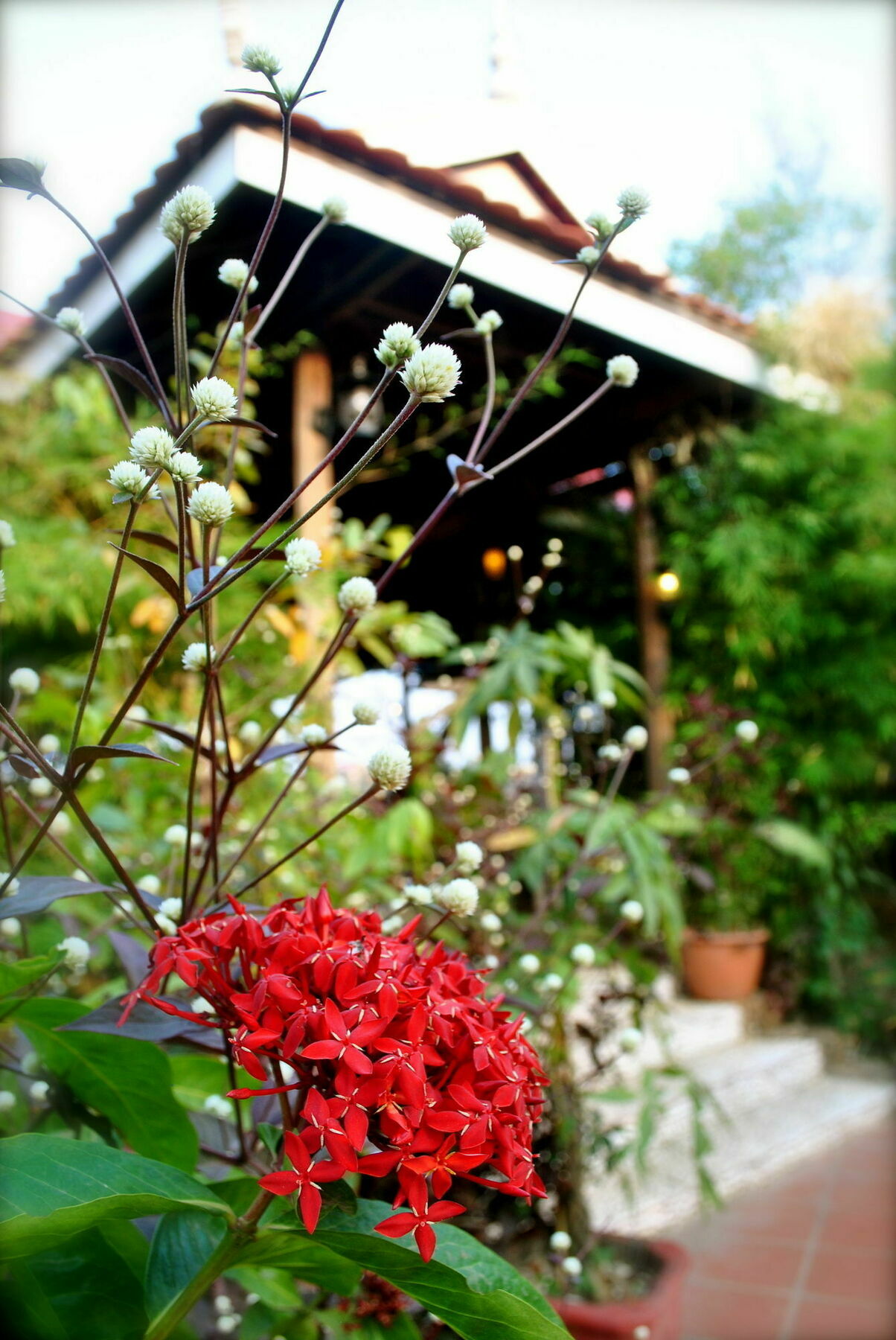 The River Lodge Kampot Exterior foto